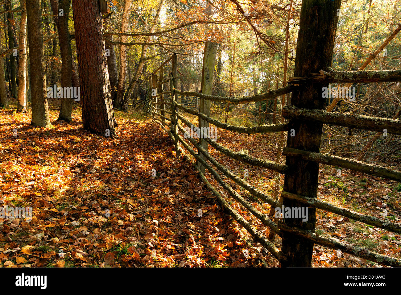 Holzzaun irgendwo im Wald Stockfoto