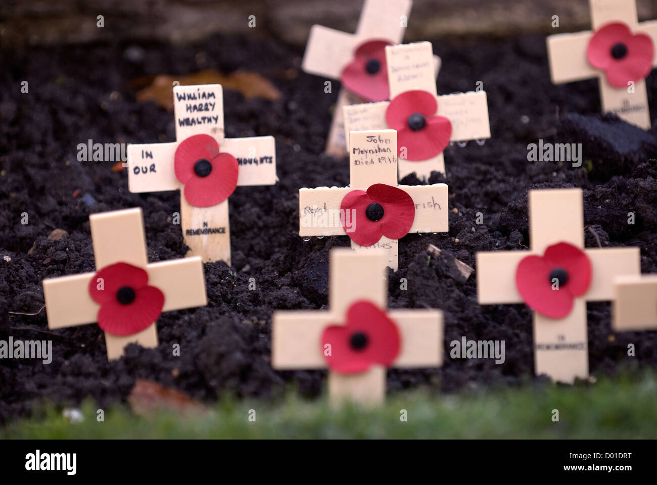 Mohn in der Masse auf das Gedenken Sonntag, High Street, Haslemere, Surrey, Großbritannien. 11.11.2012. Stockfoto