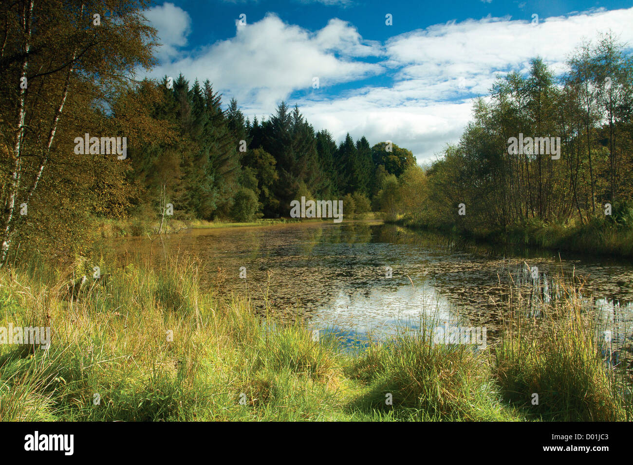 Flug-Teich, Castle Fraser, Aberdeenshire Stockfoto