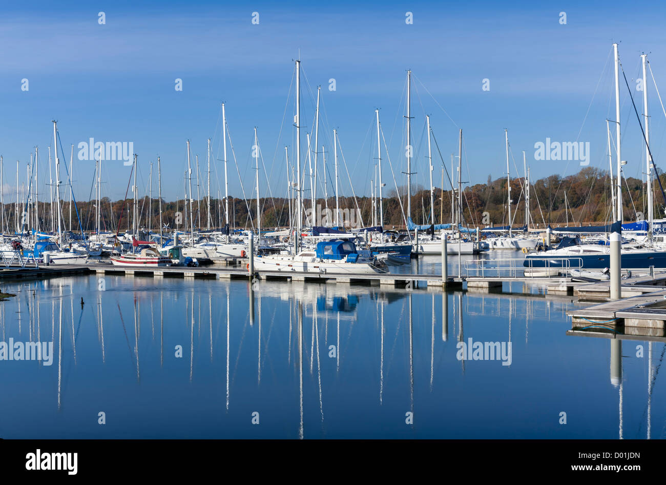 Ankern Yachten auf einem Fluss Hamble Marina am unteren Swanwick an einem knackigen sonnigen Wintertag Stockfoto