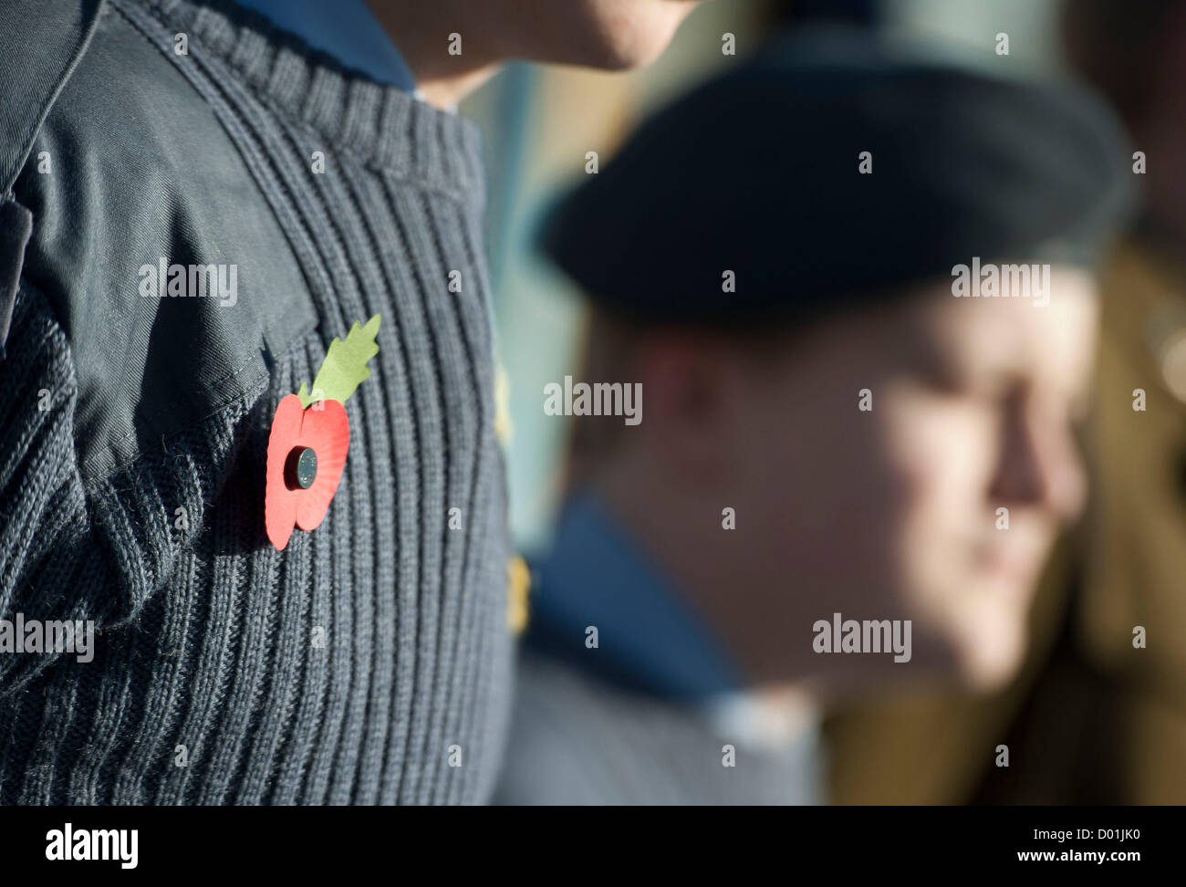 Bild von Darren Cool Remembrance Sunday in Brighton, Sussex, UK. Parade in brighton Stockfoto