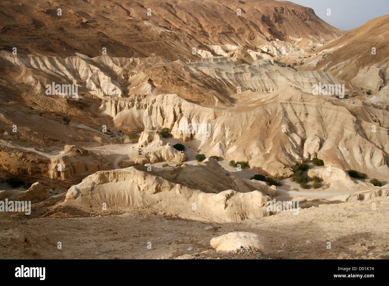 Negev Wüste Landschaft in der Nähe des Toten Meeres. Israel Stockfoto