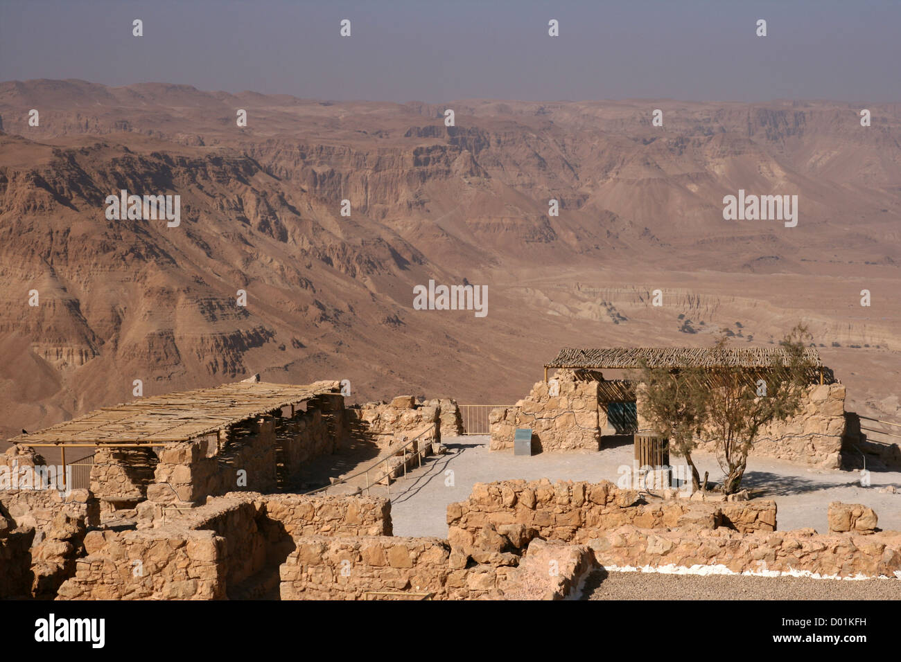 Masada in der Negev-Wüste. Israel Stockfoto