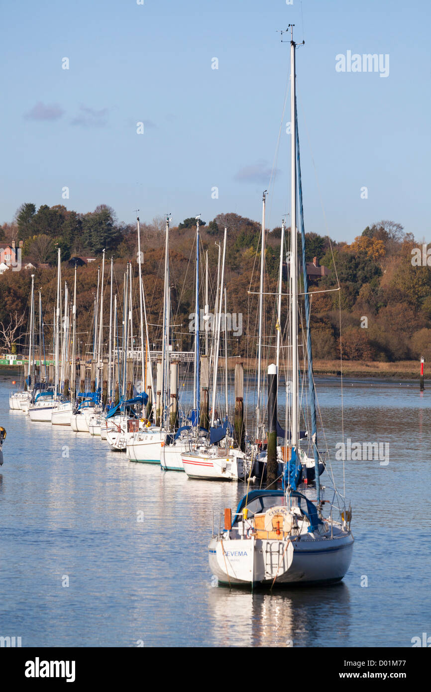 Yachten ankern ordentlich hintereinander auf dem Fluss Hamble esturary Stockfoto