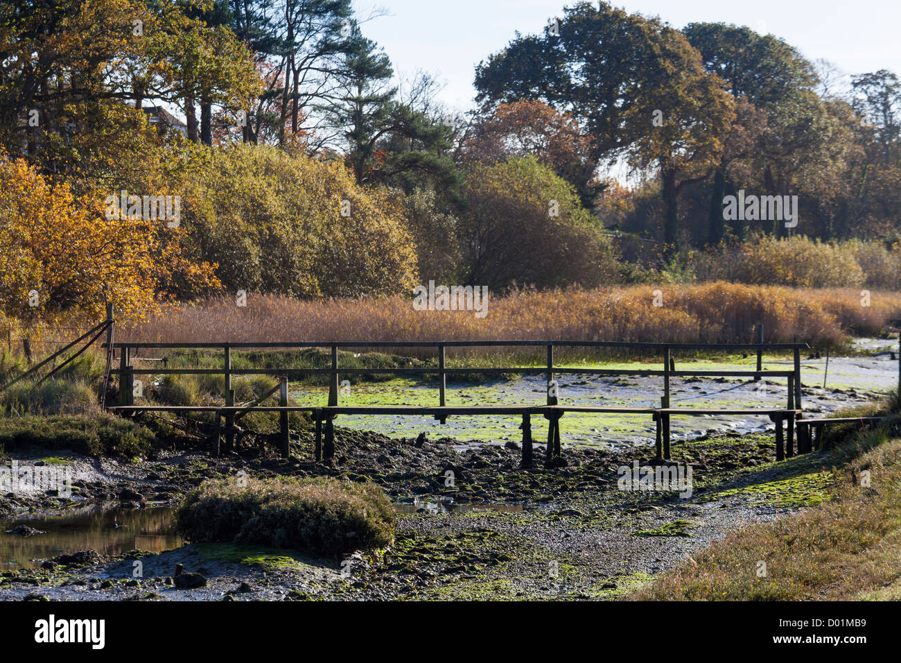 eine wackelige Brücke über die Salzwiesen entlang dem Fluss Hamble esturary Stockfoto