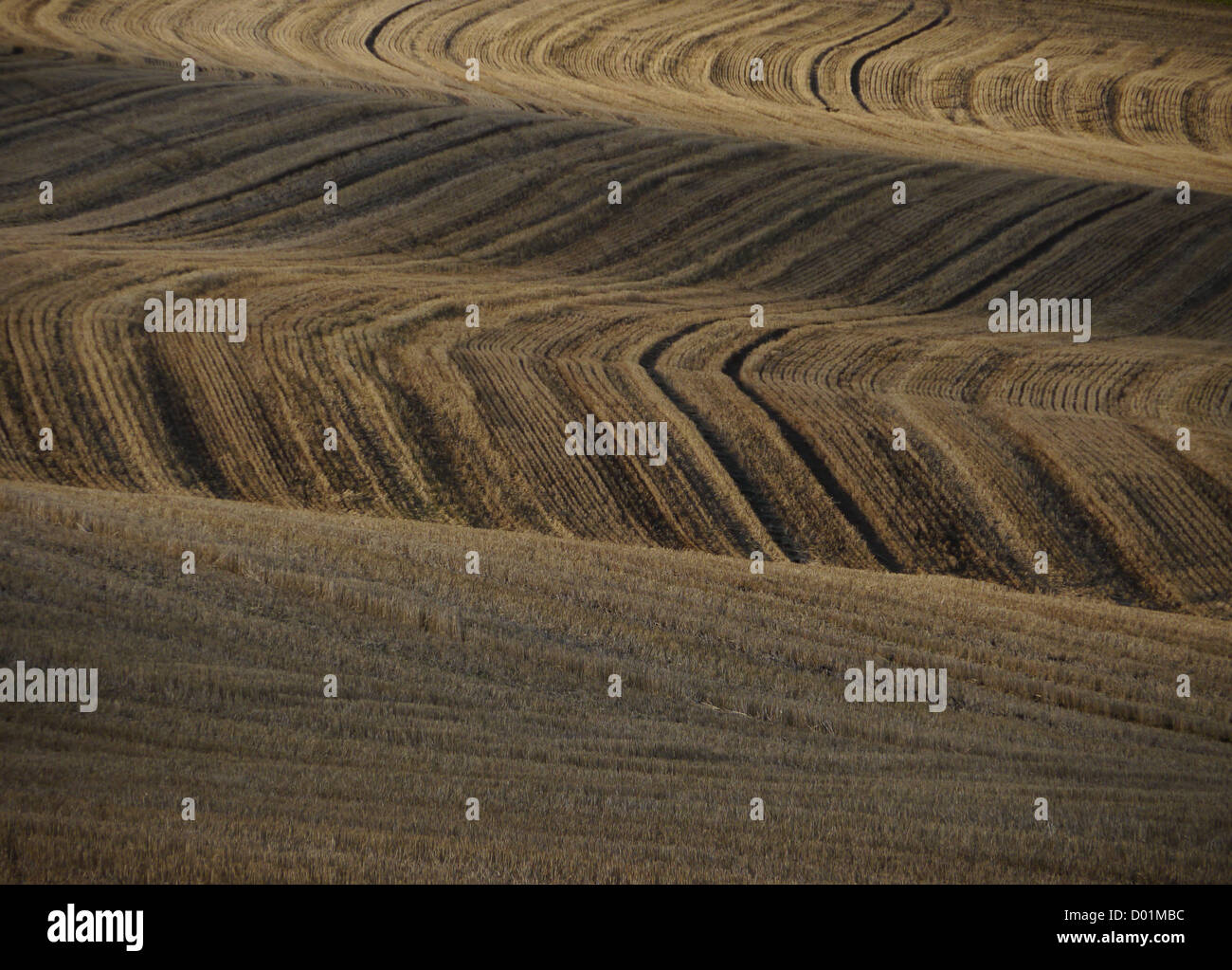 Felder in einem ländlichen englischen Nottinghamshire Landschaft im Herbst (Herbst) Stockfoto