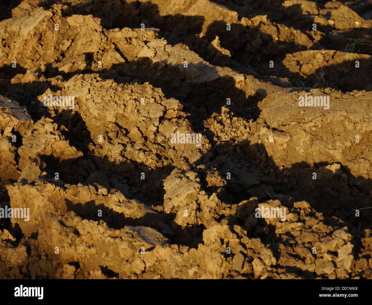Acker (Plowed) im Herbst (Herbst) Stockfoto