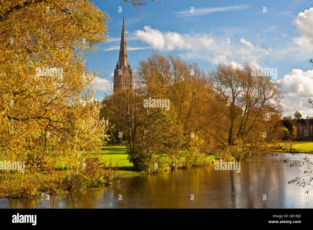Ein Herbst Blick auf den Turm der mittelalterlichen Kathedrale von Salisbury, Wiltshire, England, UK mit dem Fluss Avon im Vordergrund. Stockfoto