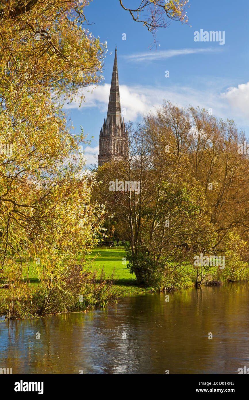 Ein Herbst Blick auf den Turm der mittelalterlichen Kathedrale von Salisbury, Wiltshire, England, UK mit dem Fluss Avon im Vordergrund. Stockfoto