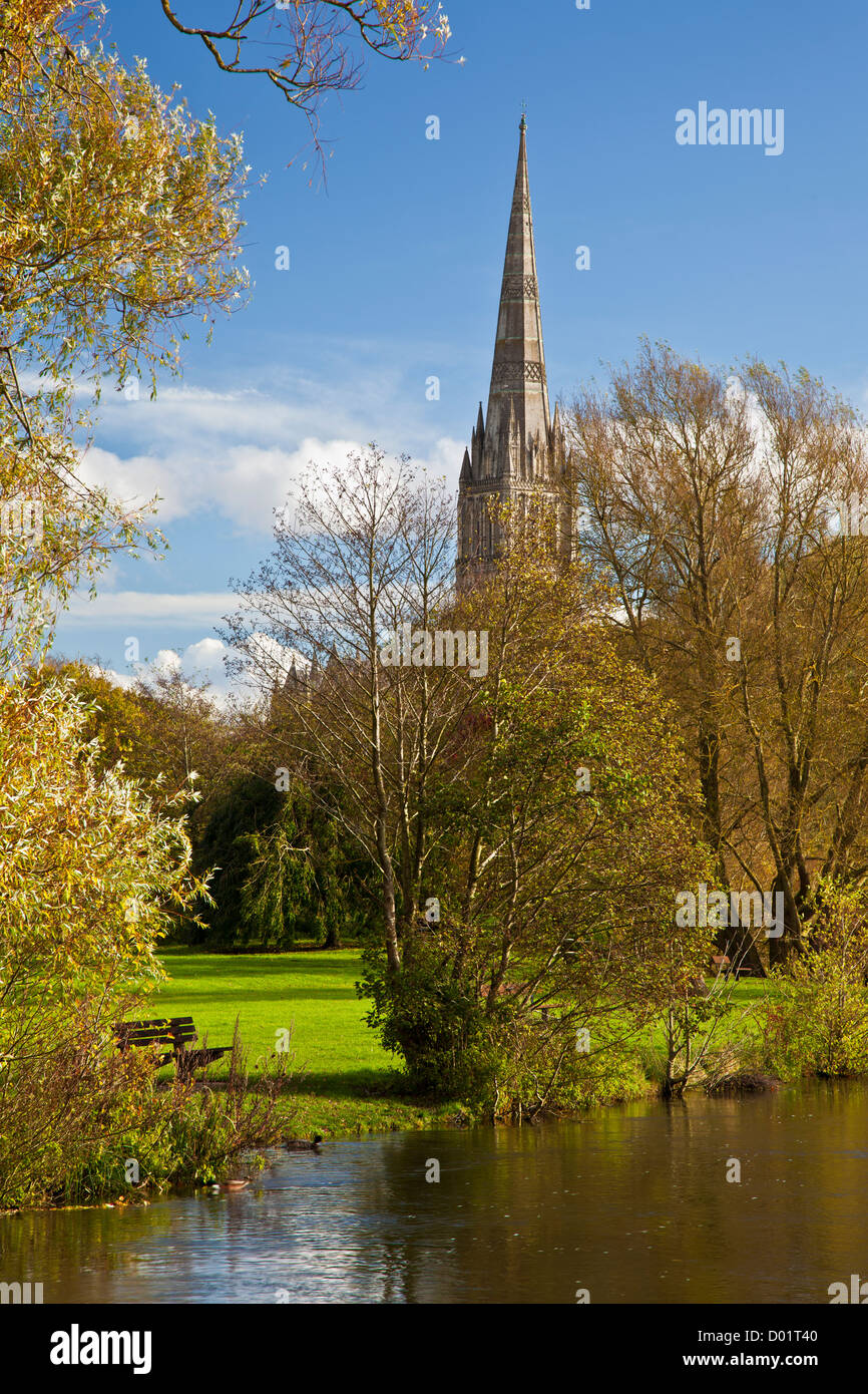 Ein Herbst Blick auf den Turm der mittelalterlichen Kathedrale von Salisbury, Wiltshire, England, UK mit dem Fluss Avon im Vordergrund. Stockfoto