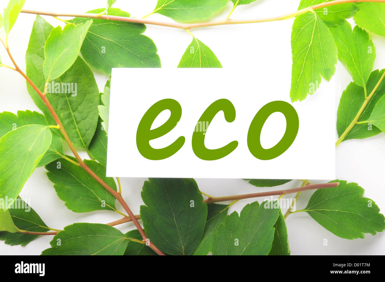Eco-Konzept mit Word auf Natur Stilleben Stockfoto