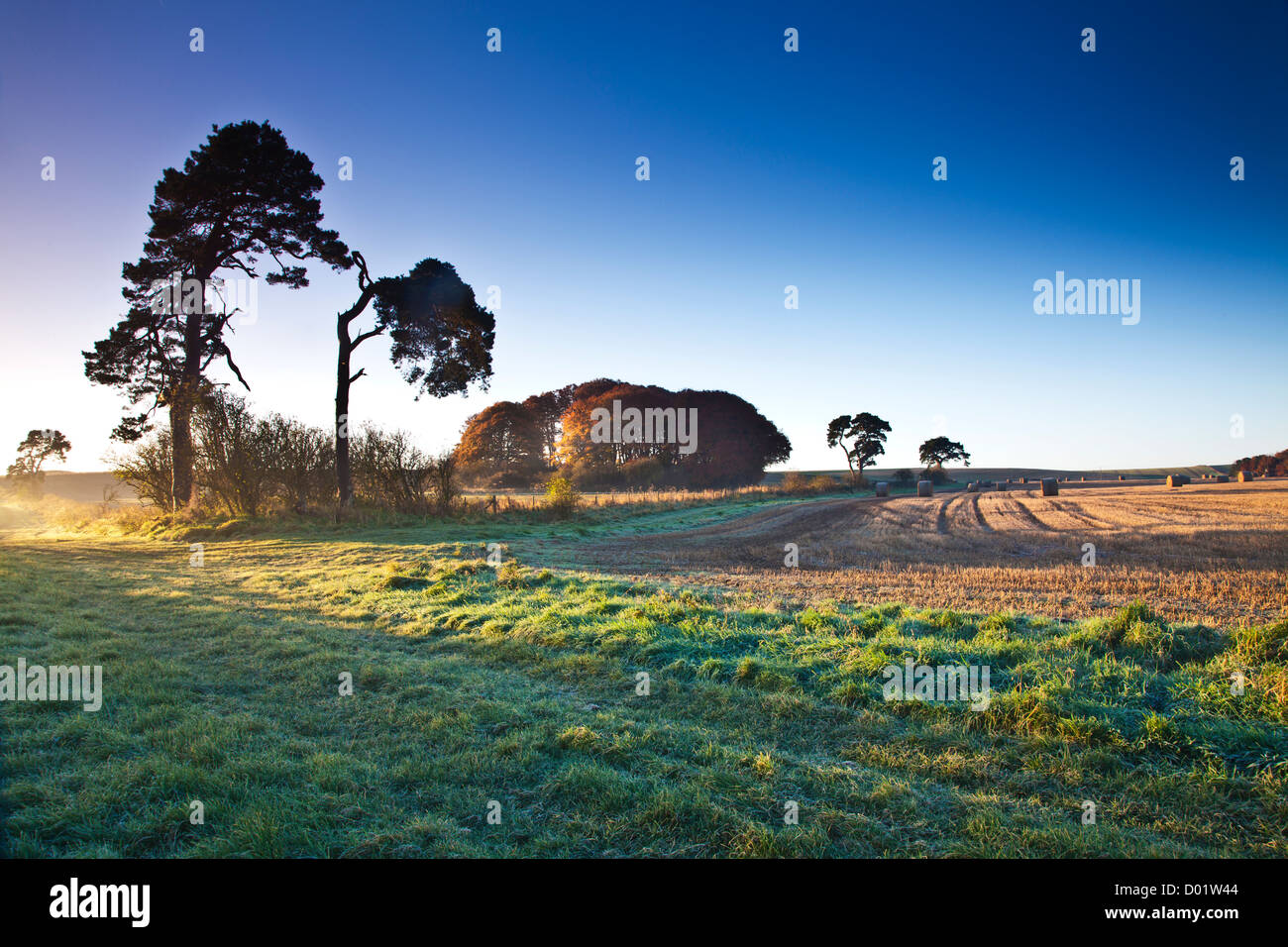 Strohballen auf einem Feld in der Nähe von Beckhampton, Wiltshire, England, UK Stockfoto