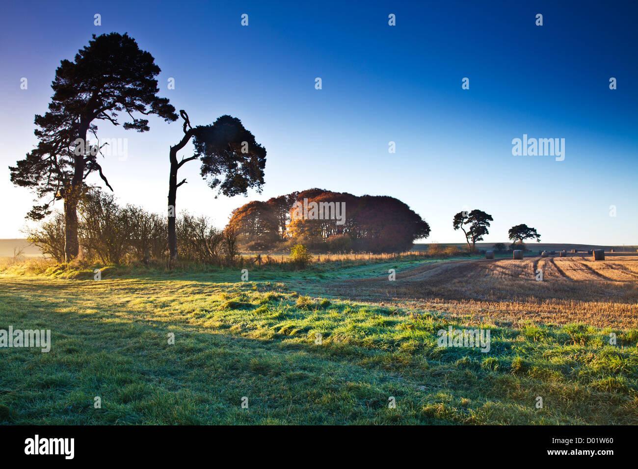 Strohballen auf einem Feld in der Nähe von Beckhampton, Wiltshire, England, UK Stockfoto