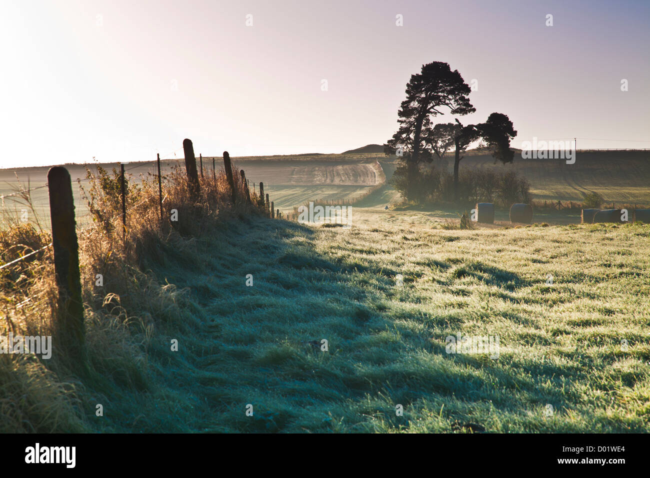 Zaun und Heuballen auf einem Feld in der Nähe von Beckhampton, Wiltshire, England, UK Stockfoto