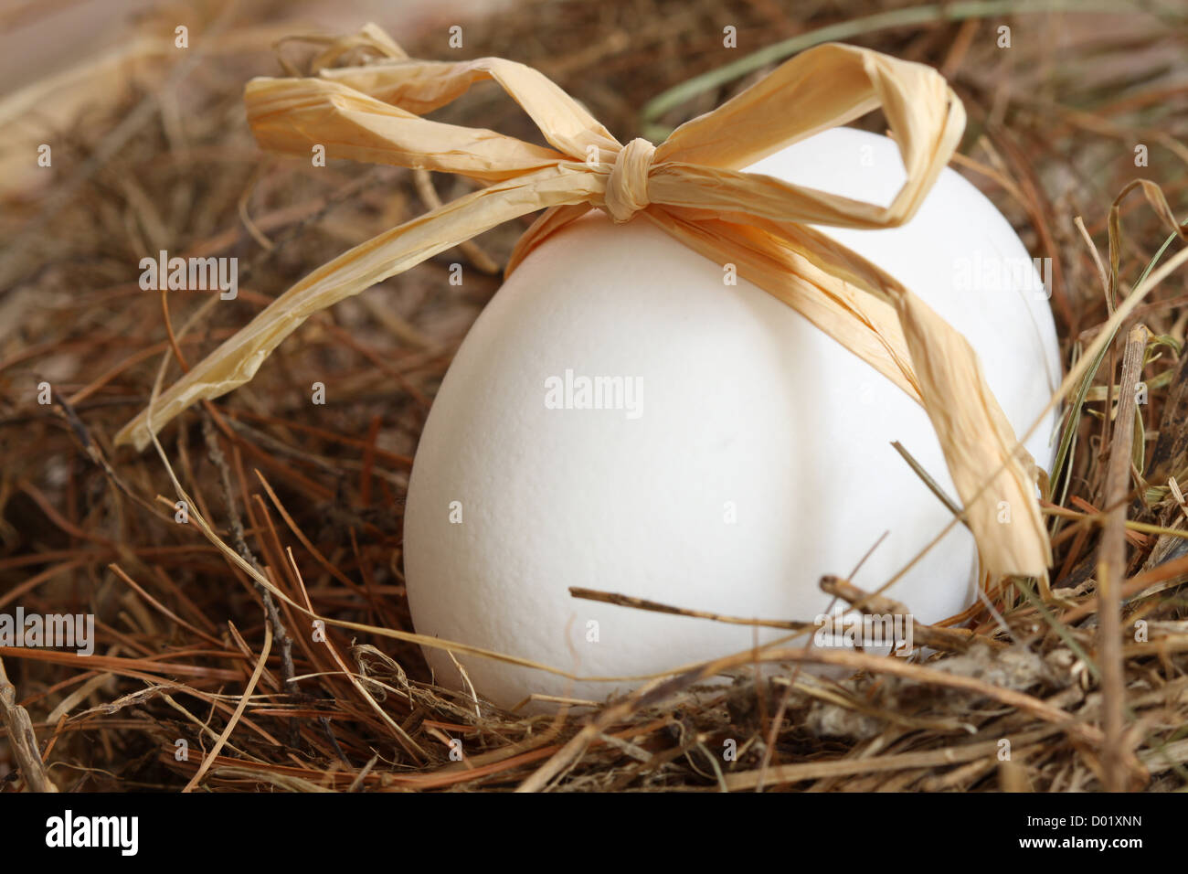 Ei mit Bogen auf Stroh Hintergrund weiß Stockfoto