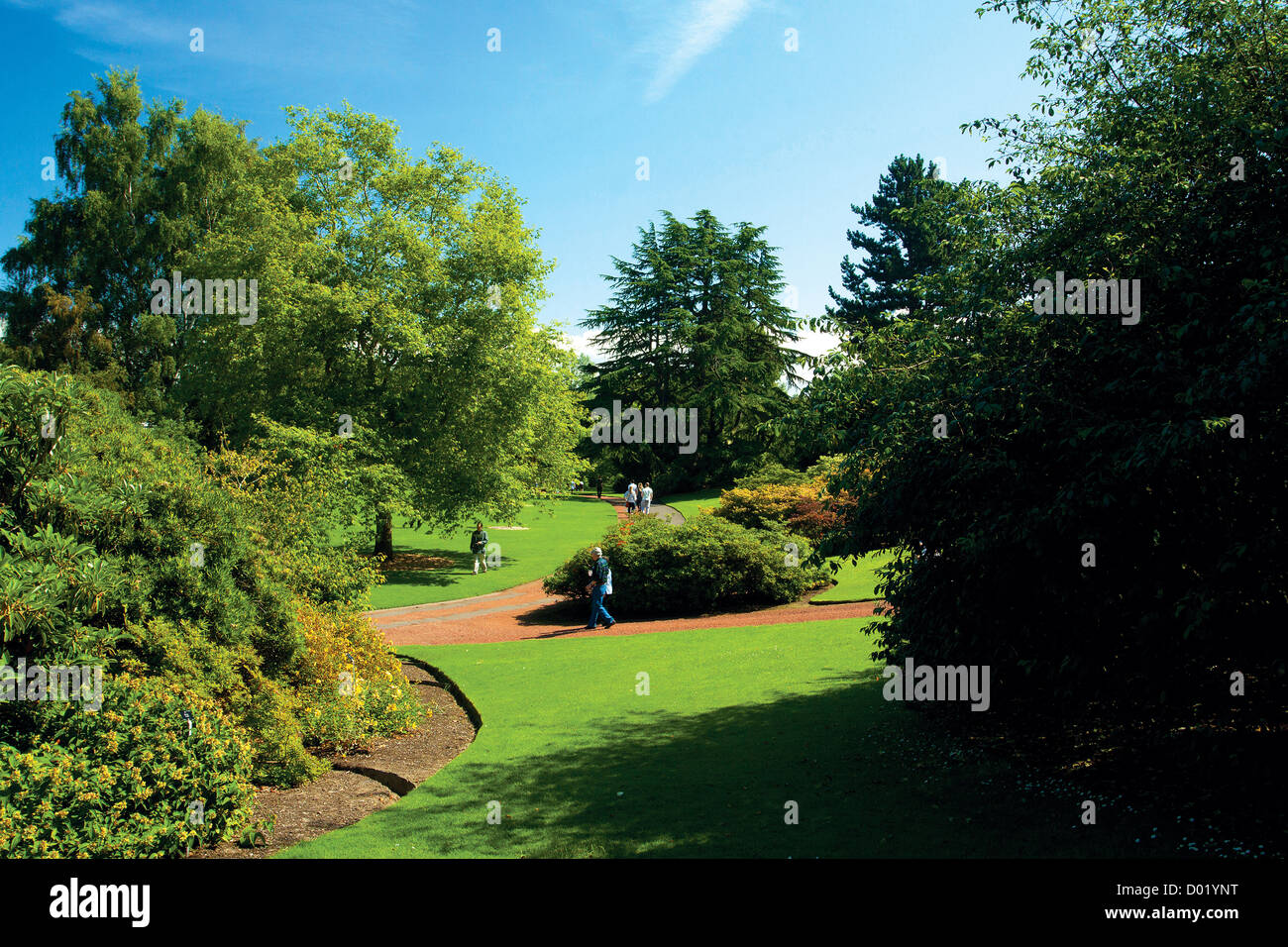 Die Royal Botanic Gardens, Edinburgh Stockfoto