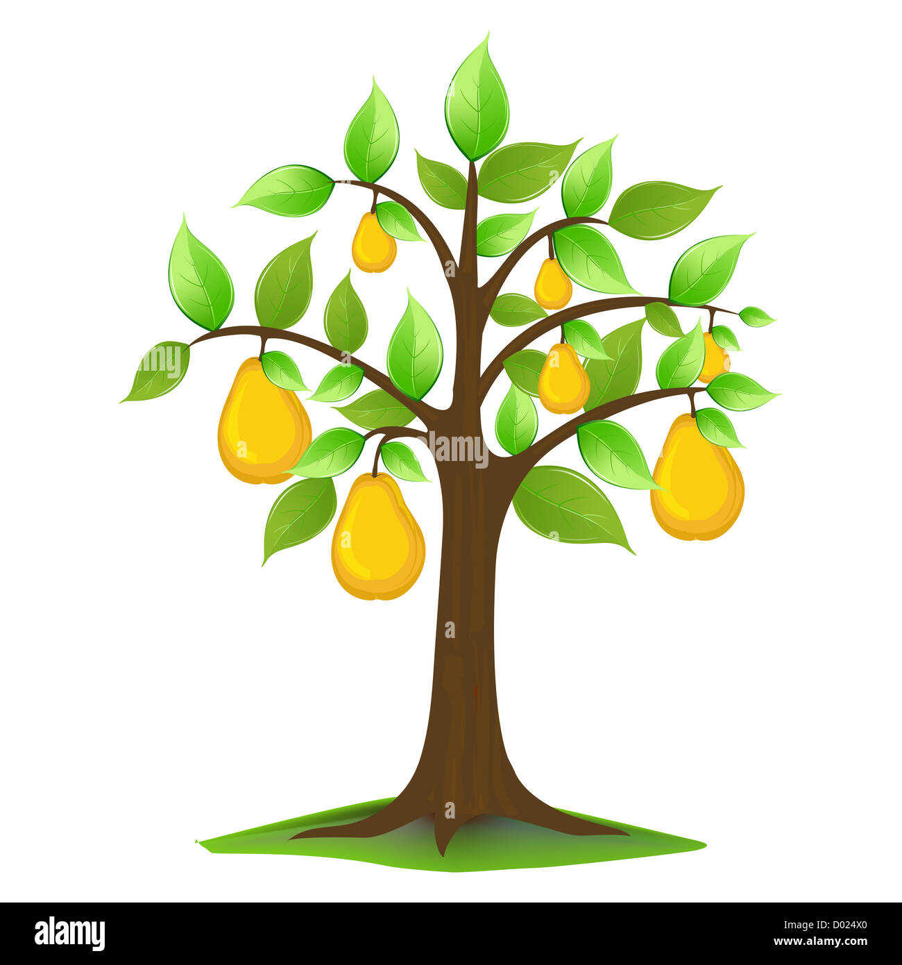 Abbildung von Birnen in Baum auf weißem Hintergrund Stockfoto