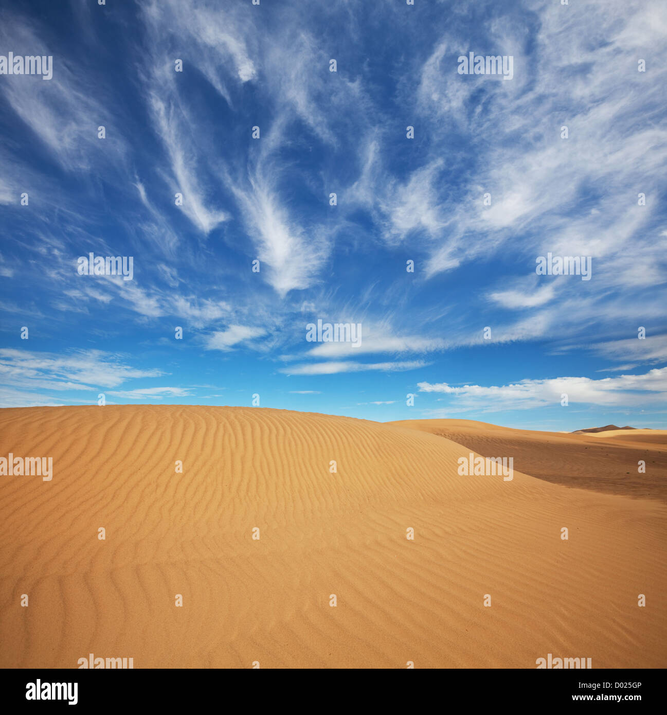 Sanddüne Wüste Stockfoto