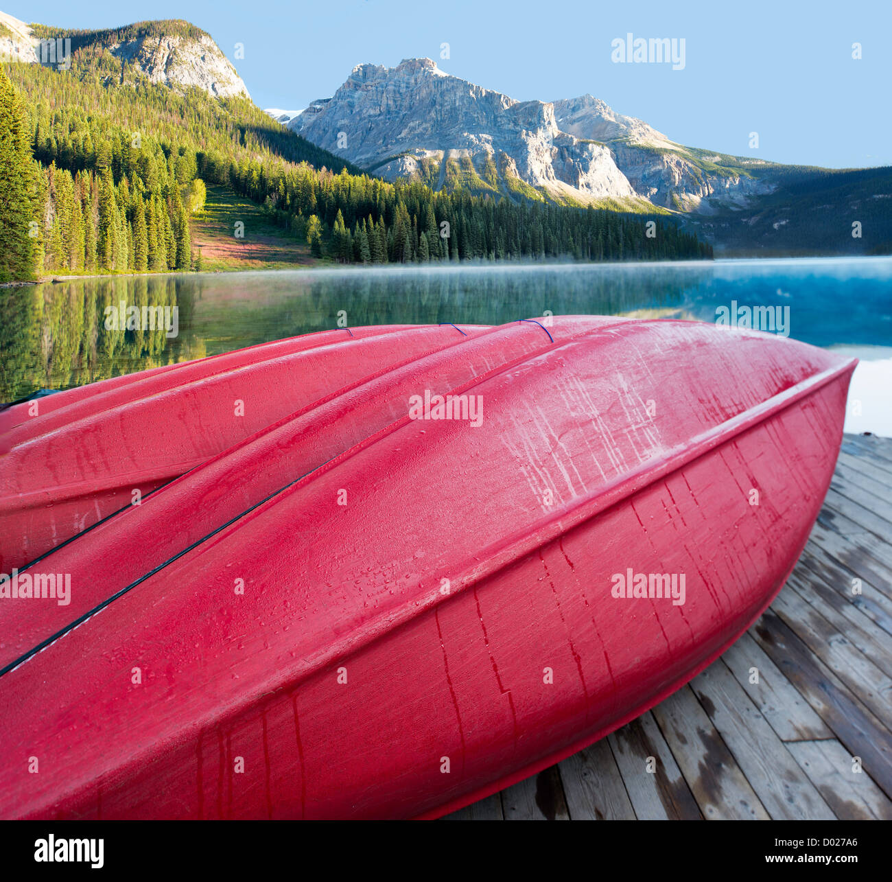 Rot-Kanus auf der Anklagebank in Emerald Lake (XXL große Datei) Stockfoto
