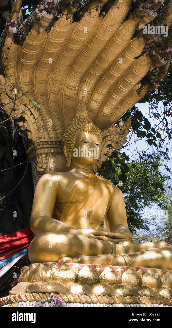 Goldene Buddha-Statue mit Naga Baldachin Wat Si Muang Vientiane Laos PDR Stockfoto