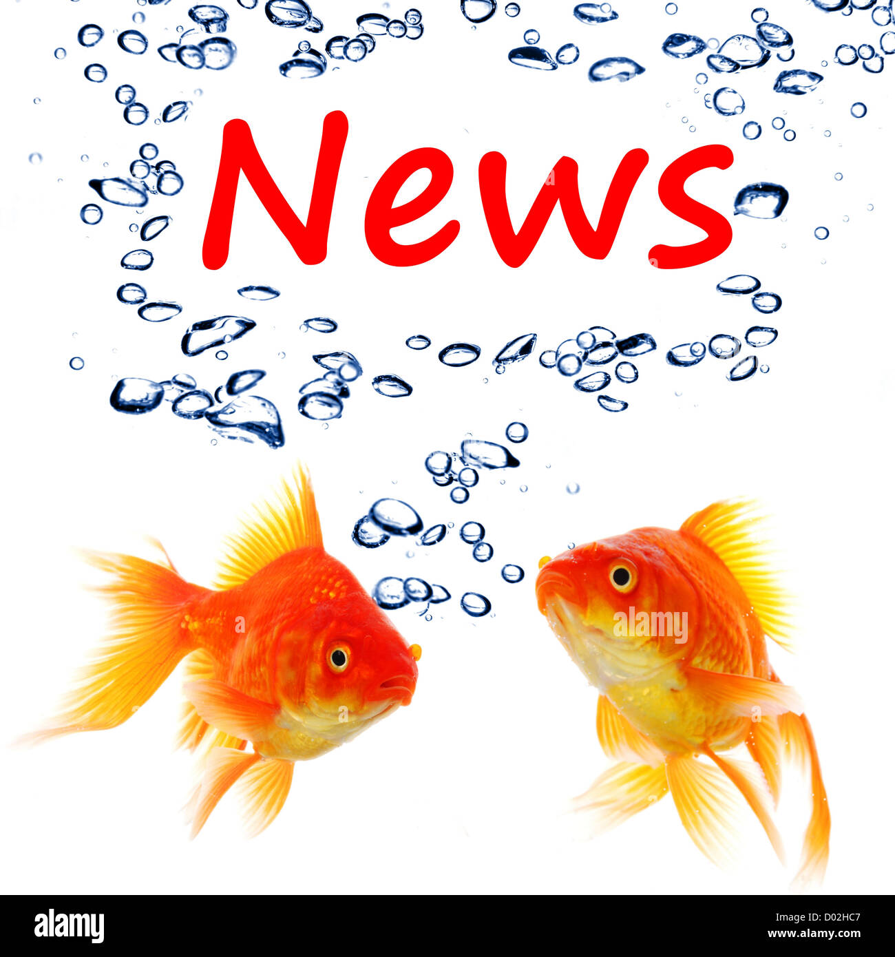 Nachrichten oder Newsletter-Konzept mit Wort und Goldfisch auf weißem Hintergrund Stockfoto