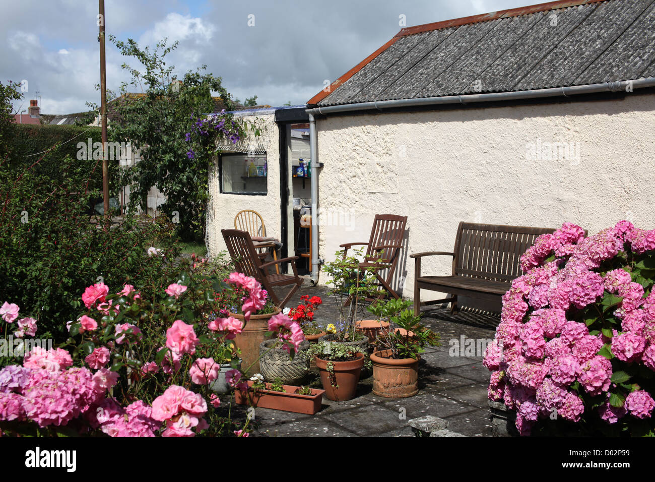 Schönen sonnigen gepflasterten Garten mit Hortensien, Terrasse und Pflanze Töpfe. Rosa! Stockfoto