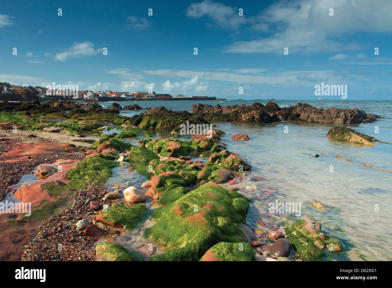 East Beach, Dunbar, East Lothian Stockfoto