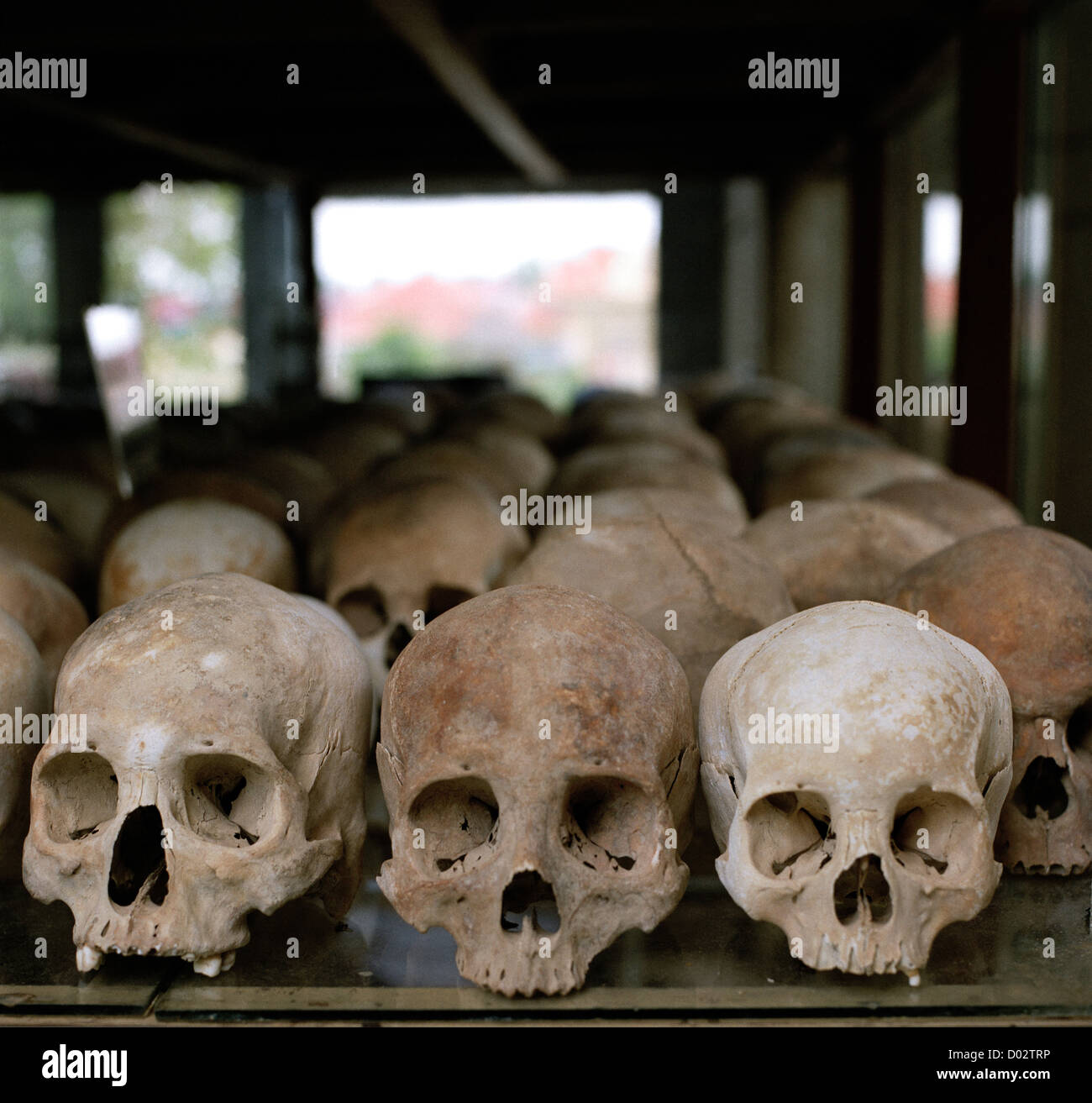 Schädel Choeung Ek Killing Fields in Phnom Penh in Kambodscha in Fernost-Südost-Asien. Death Skull Museum Genozid Geschichte Reportage Kambodschanisch Stockfoto