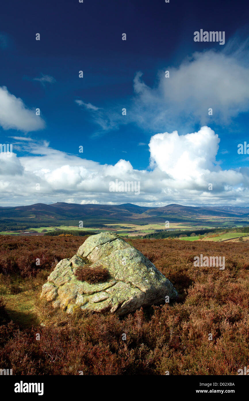 Clachnaben von Scolty Hill, Banchory, Aberdeenshire Stockfoto