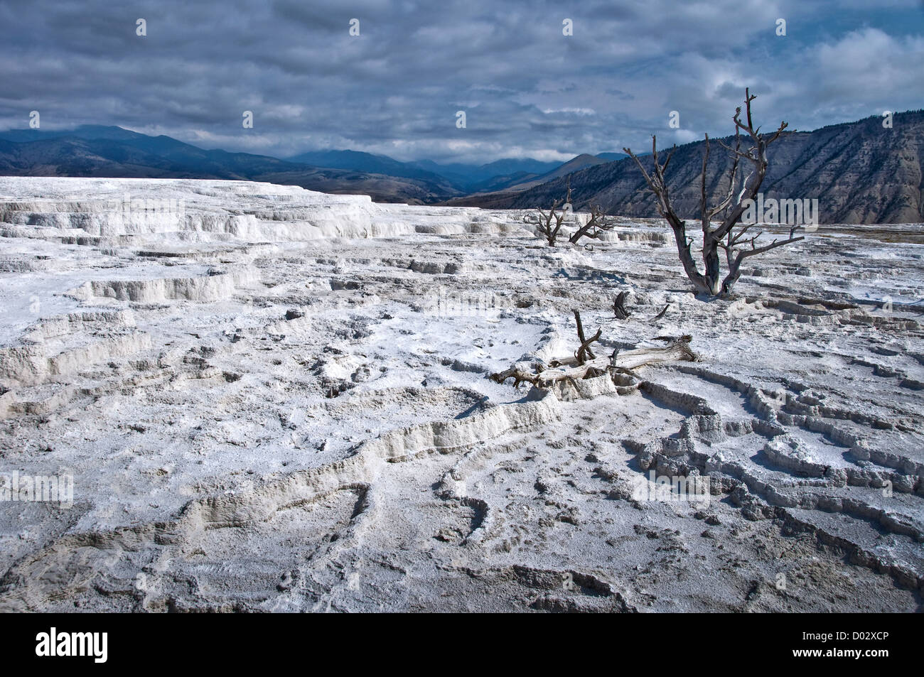 Mammut Terrassen - Yellowstone Nationalpark - Wyoming, USA Stockfoto