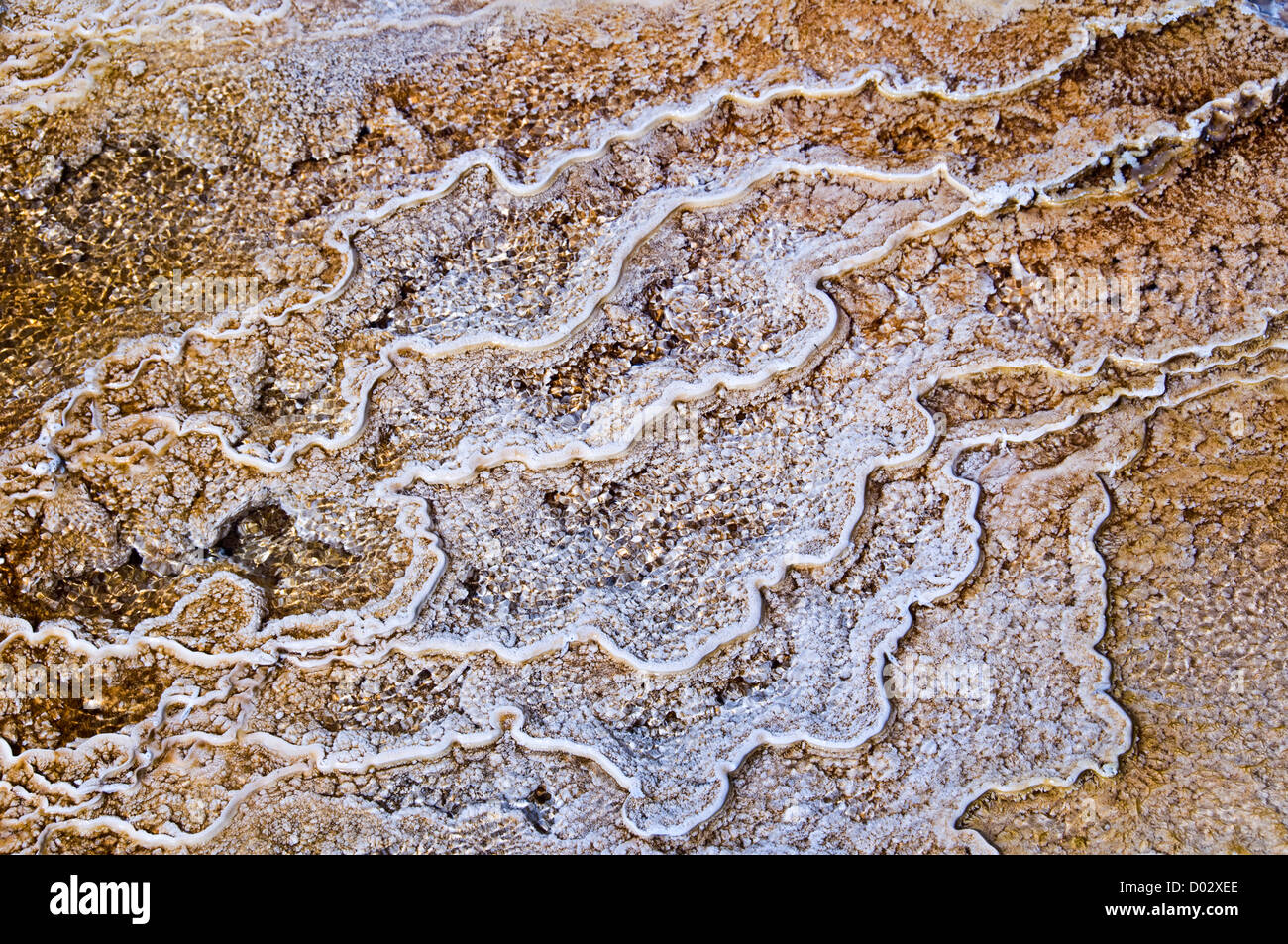 Detailansicht des Mammut-Terrassen - Yellowstone Nationalpark - Wyoming, USA Stockfoto