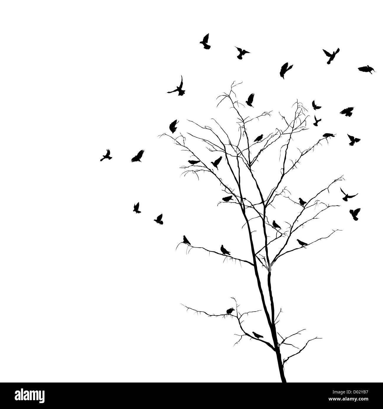 Silhouetten der Vögel über Brunch von einem blätterlosen Herbst Baum. Isolierte Objekte auf weißem Hintergrund. Stockfoto