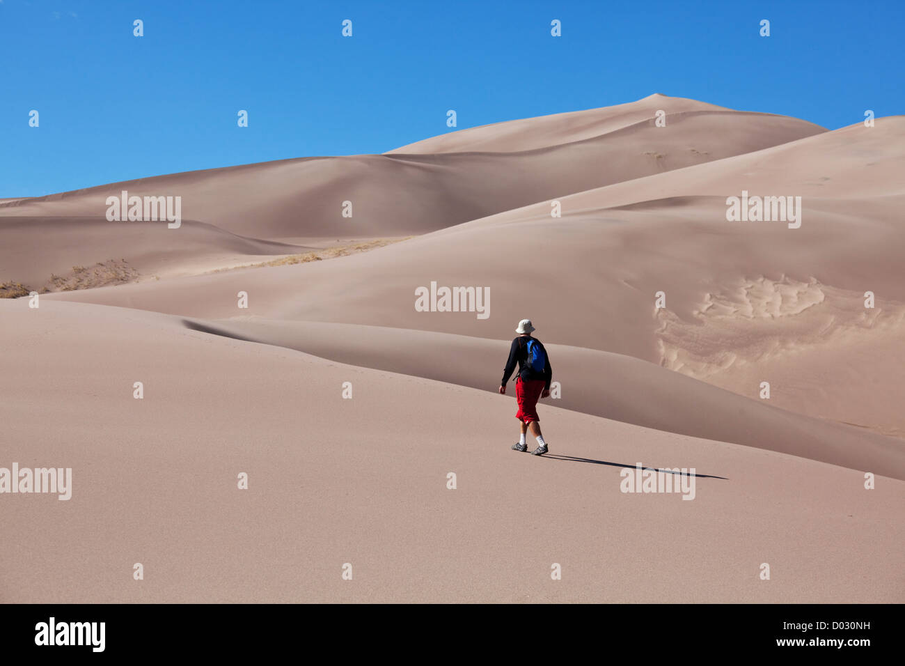 Wandern Sie in großen Dünen, USA Stockfoto