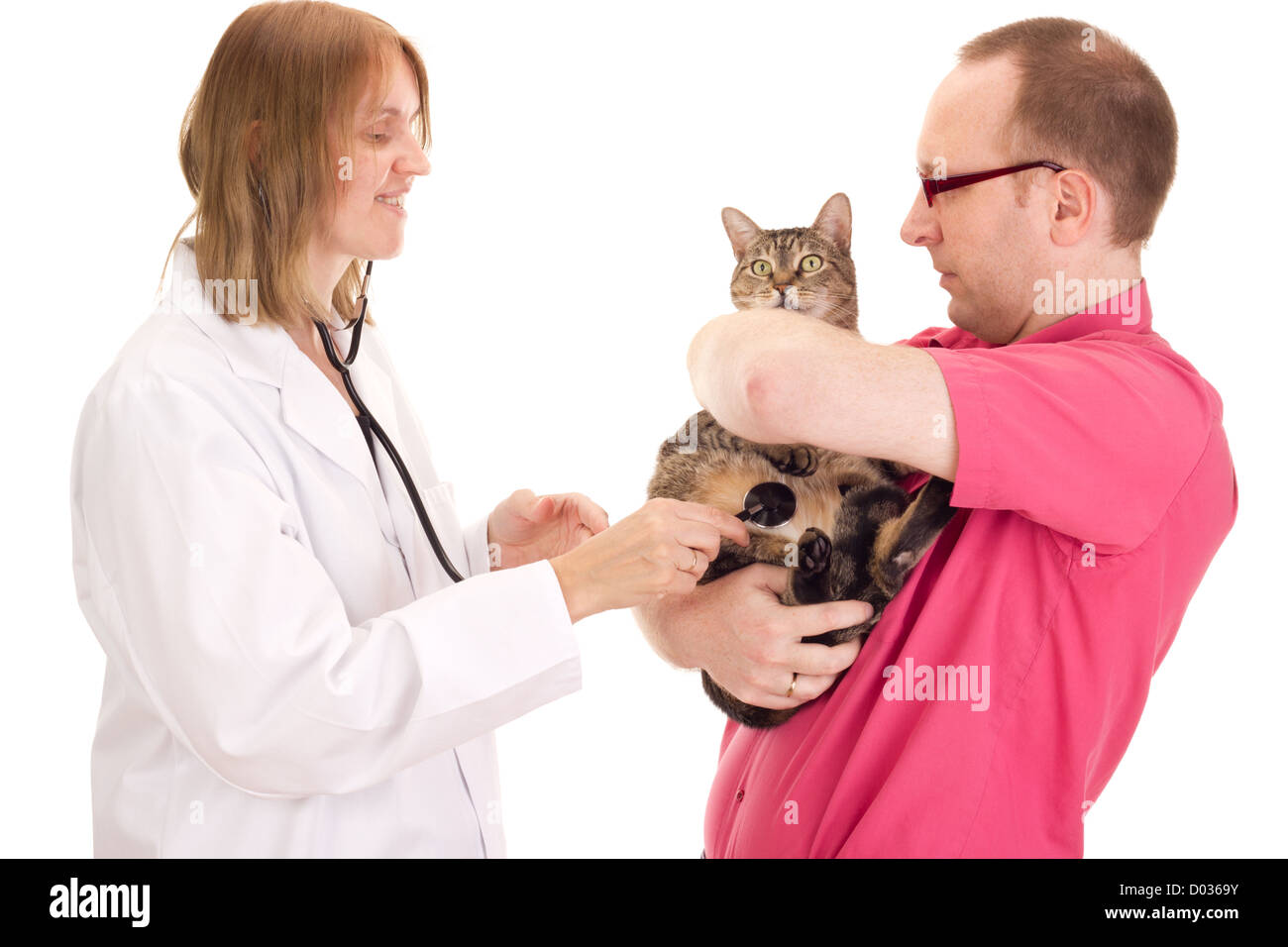 Person bei tierärztlichen Arzt Stockfoto