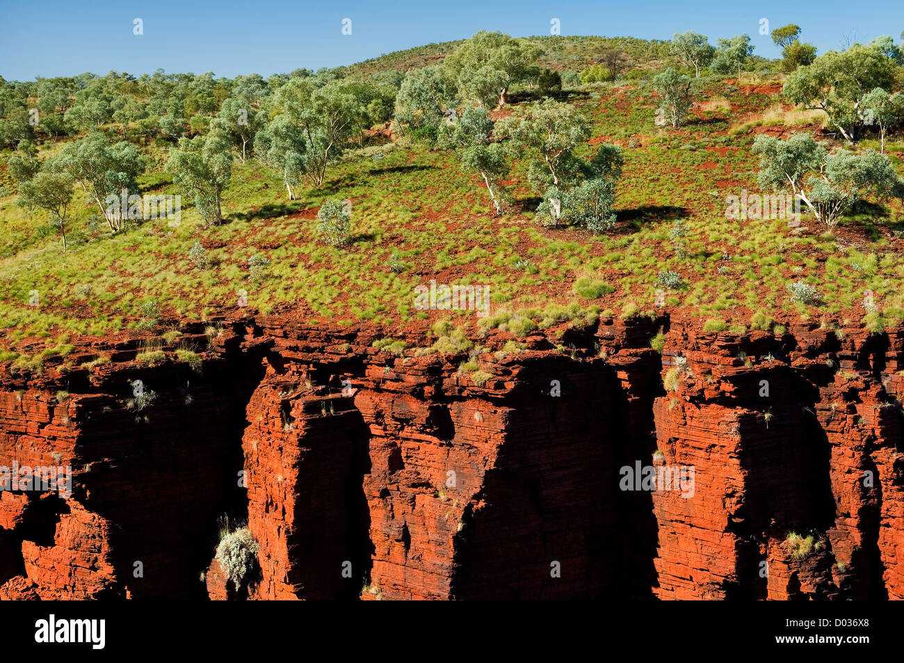Spinifex-Hügel auf Weano Gorge. Stockfoto