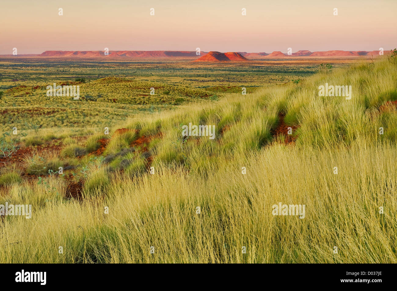 Chichester reichen im letzten Licht des Tages. Stockfoto