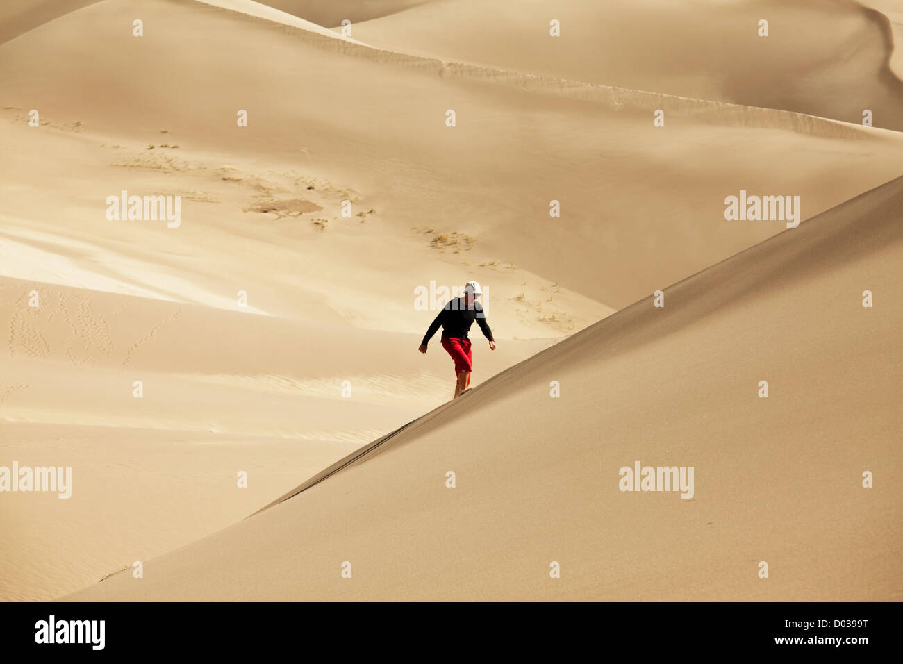Wandern in der Wüste Gobi Stockfoto