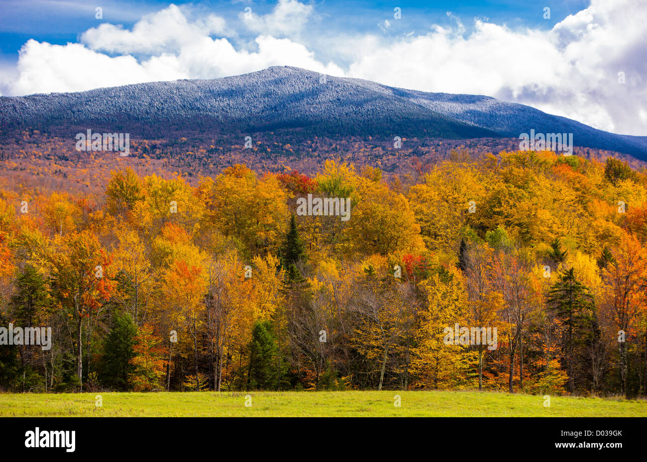 GRÜNE Berge, VERMONT, USA - Herbstlaub auf den Bäumen in der Nähe von Camel Hump State Forest, auf Route 17. Stockfoto