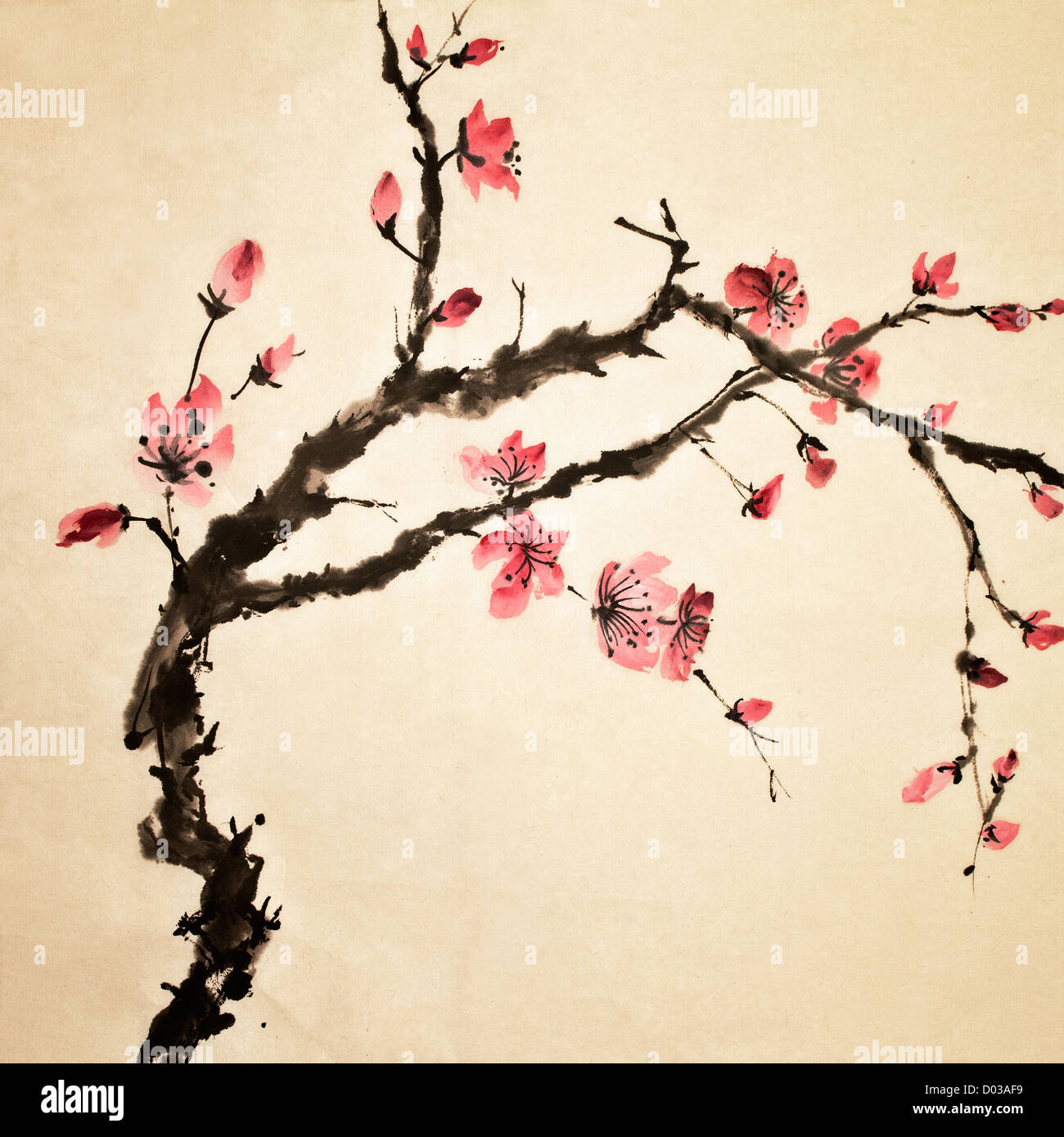 Chinesische Malerei, traditionelle Kunst mit Blume in Farbe auf Kunstdruckpapier. Stockfoto