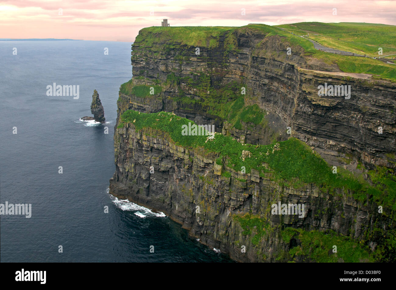 Klippen von Moher County Clare Irland Stockfoto