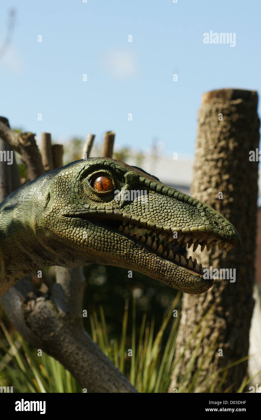 Velociraptor ein Theropoder Theropode, in der Kreidezeit gelebt Stockfoto