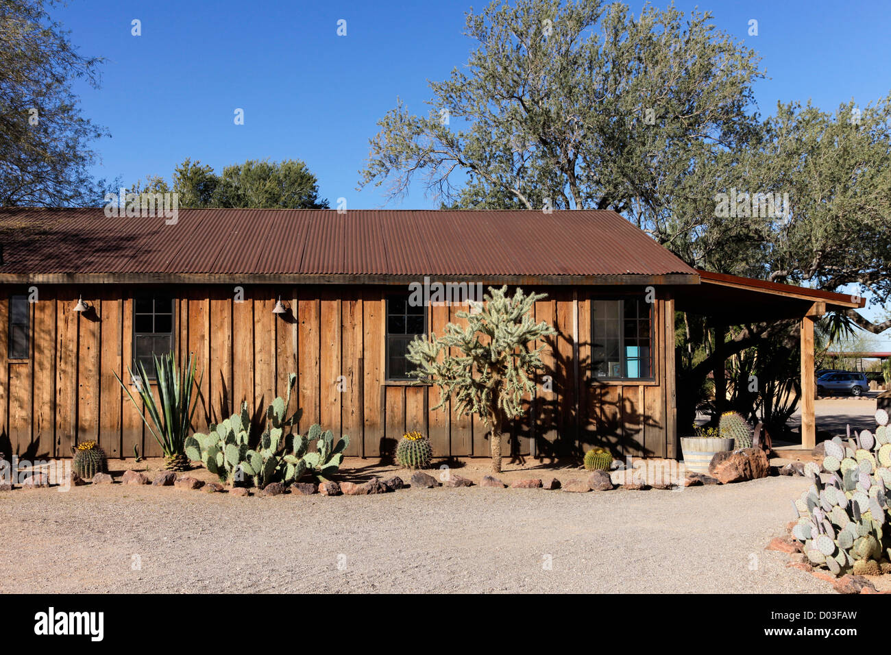 Tucson, Arizona, Vereinigte Staaten von Amerika. Weißen Hengst Dude Ranch Stockfoto