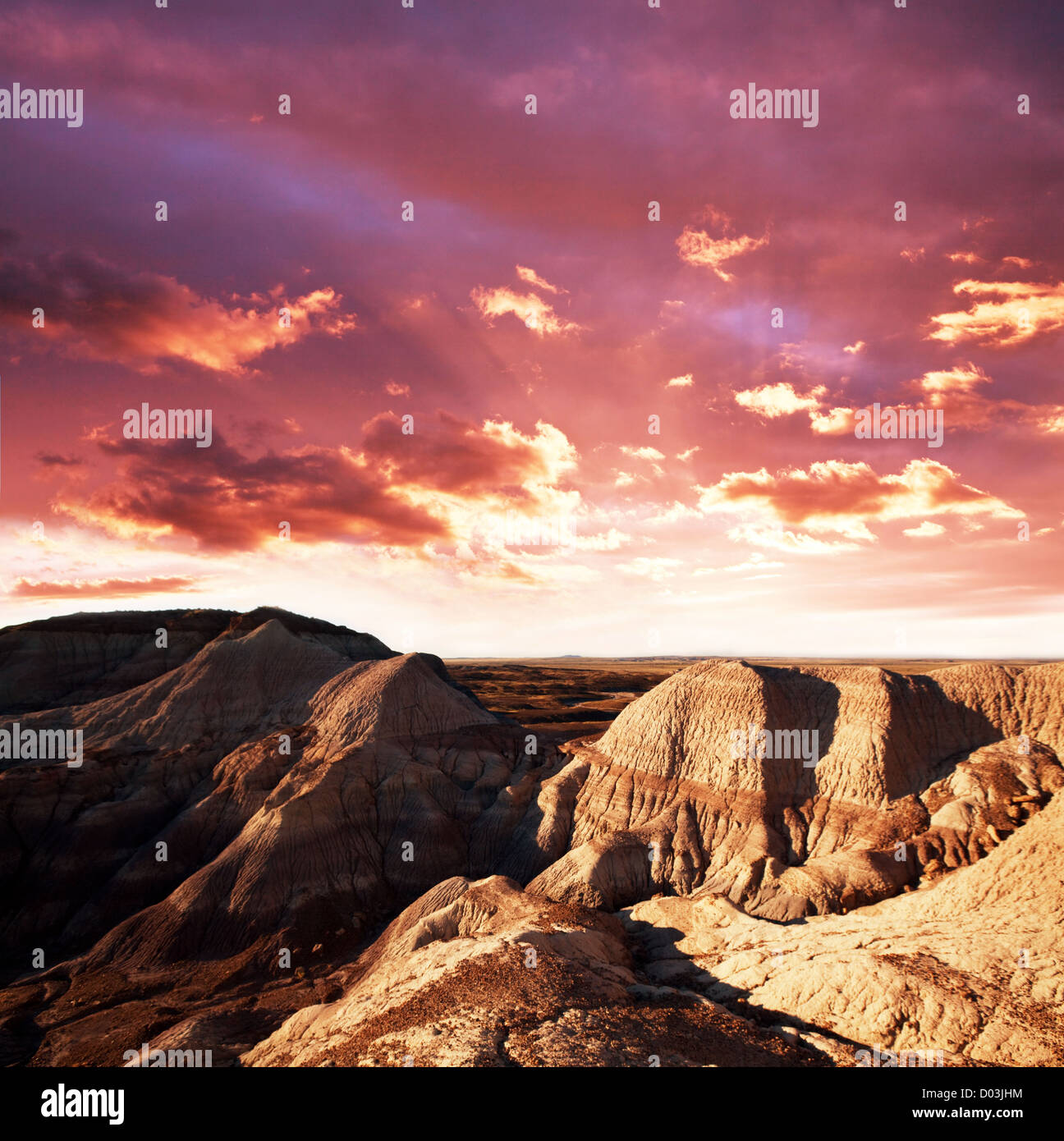 Wüste Gobi Stockfoto