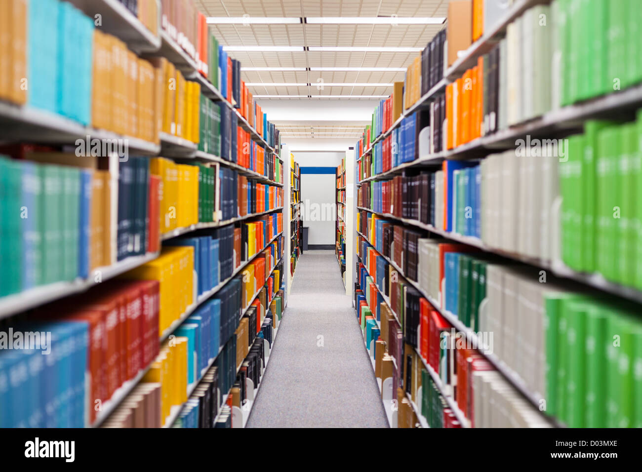 Bücher und Lehrbücher, gezeigt in einer Schulumgebung / Bibliothek-Einstellung (Buchbinder sind nach Maß, nicht das Urheberrecht) Stockfoto