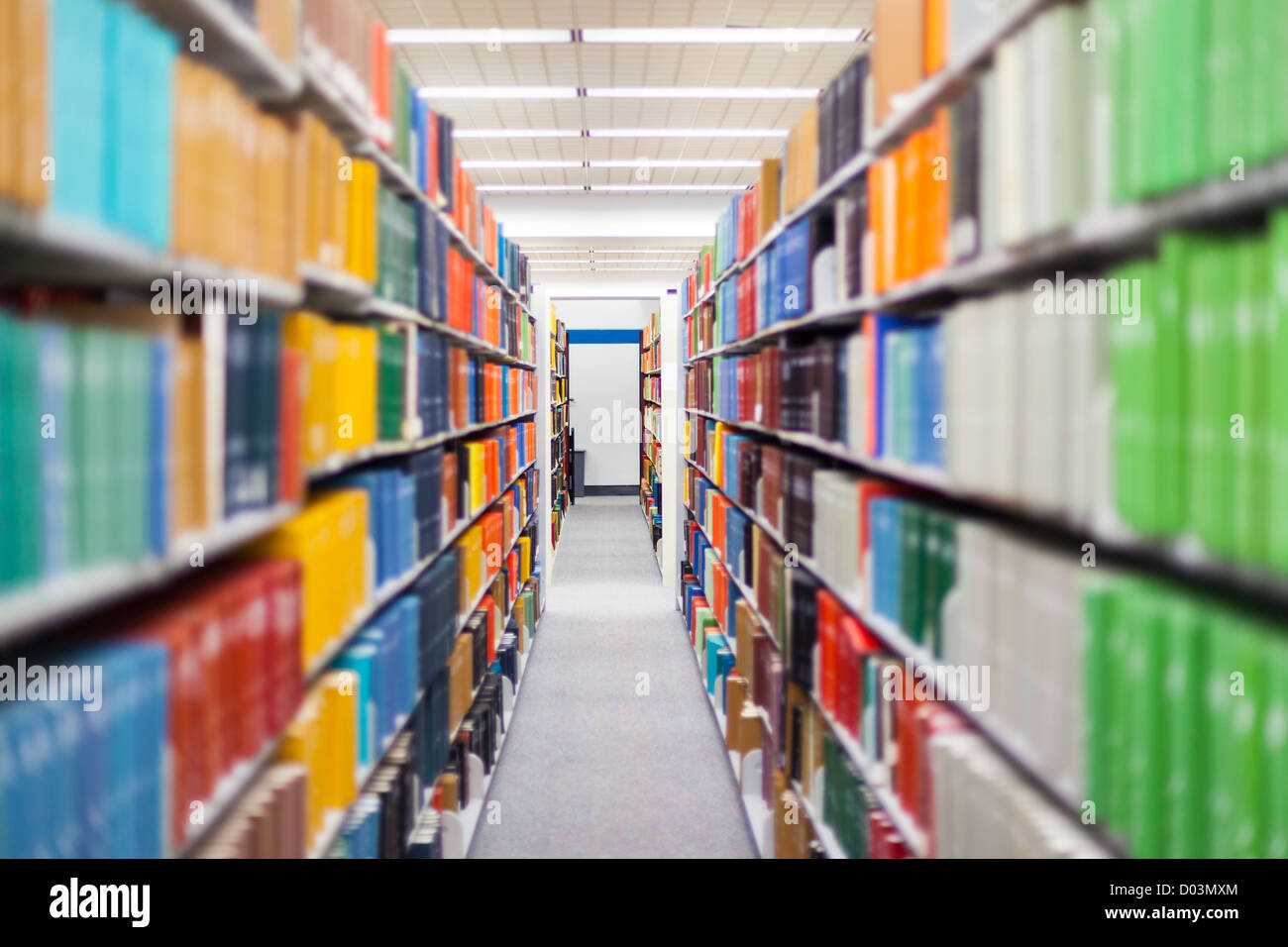 Bücher und Lehrbücher, gezeigt in einer Schulumgebung / Bibliothek-Einstellung (Buchbinder sind nach Maß, nicht das Urheberrecht) Stockfoto