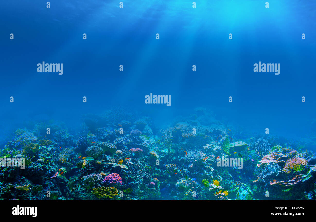 Unterwasser Korallenriff Hintergrund Stockfoto