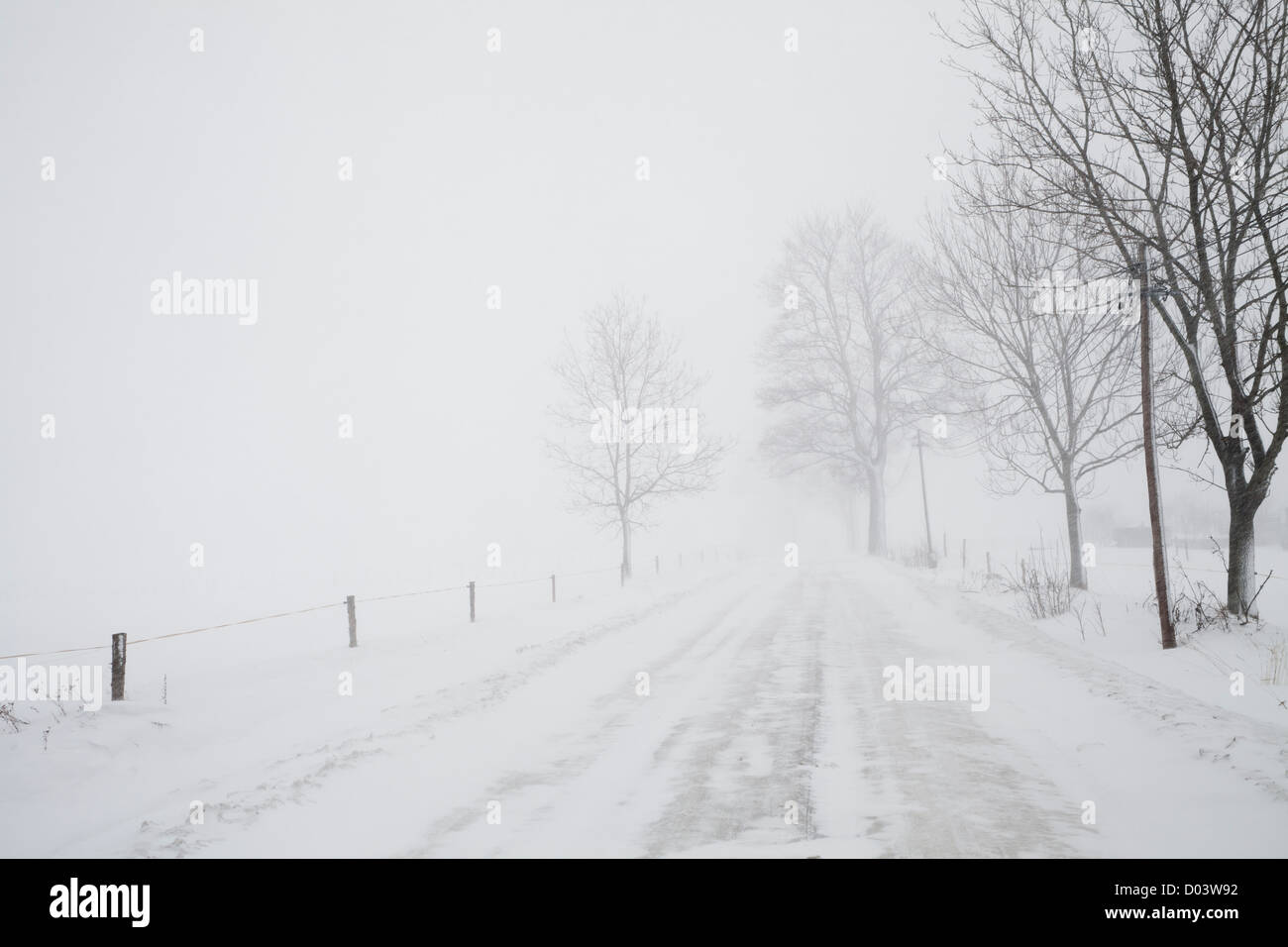 Blizzard auf Straße, Winterwetter, Schneesturm, weiße Schneelandschaft Stockfoto