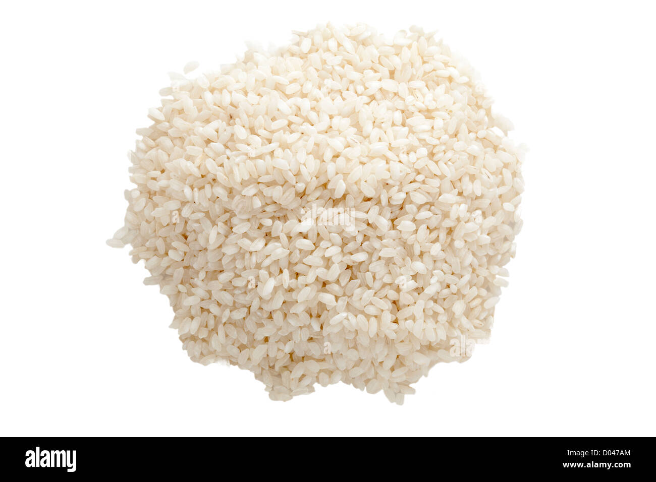 Arborio / Risotto Reis Stockfoto