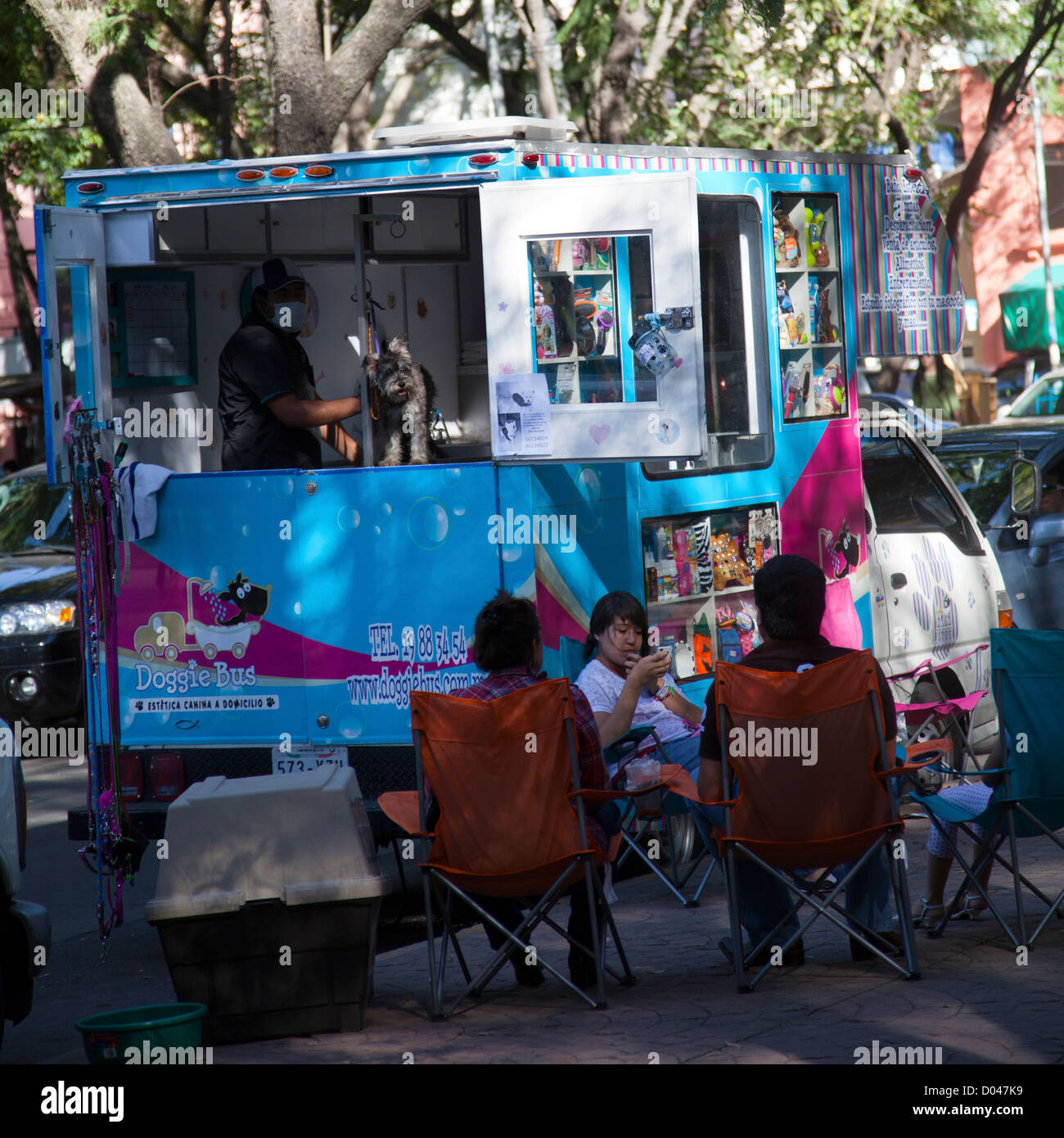 Tragbare Mobile Dog Groomer LKW in Parque Mexiko in Mexiko-Stadt DF Stockfoto