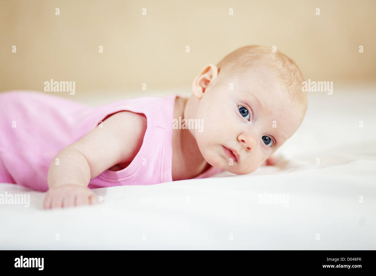 Porträt von ein zwei Monate altes baby Stockfoto